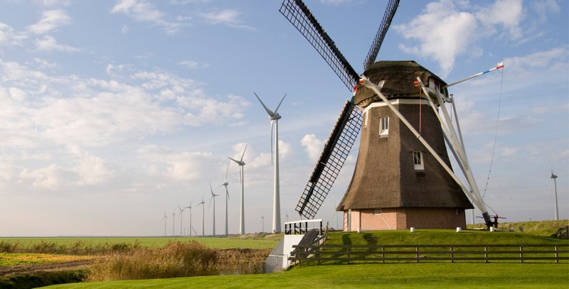 21-800x0.jpg